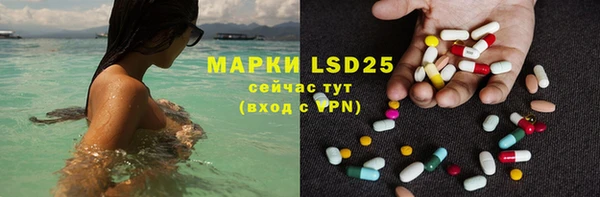 spice Бородино