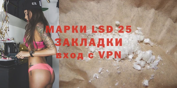 spice Бородино
