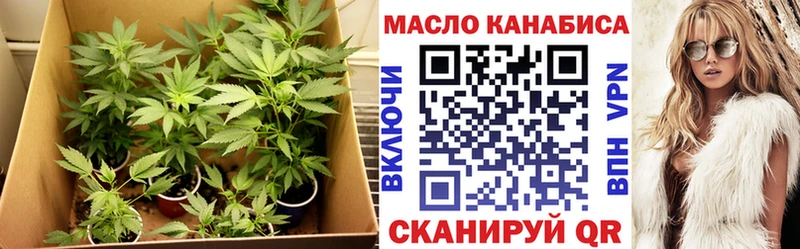 как найти закладки  Горно-Алтайск  Дистиллят ТГК гашишное масло 